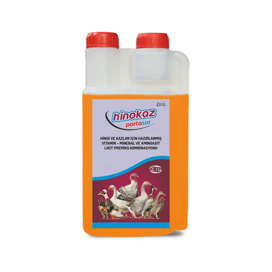 Portasol Hinokaz resmi