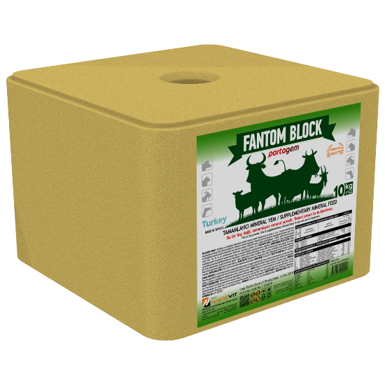 Portagem Fantom Block resmi