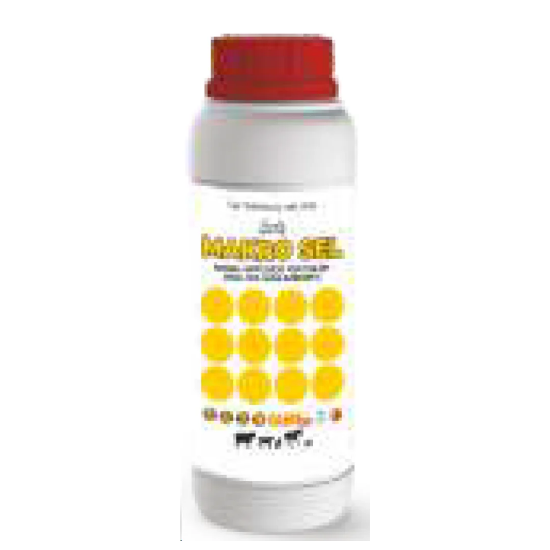 Portasol Makro Sel resmi